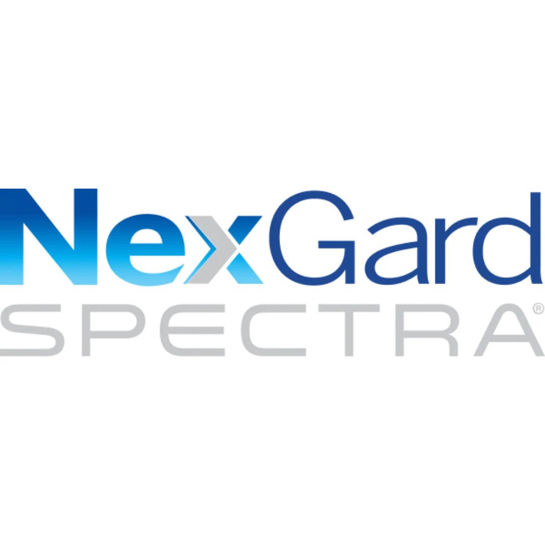 NexGard SPECTRA maroc
